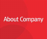 About Company